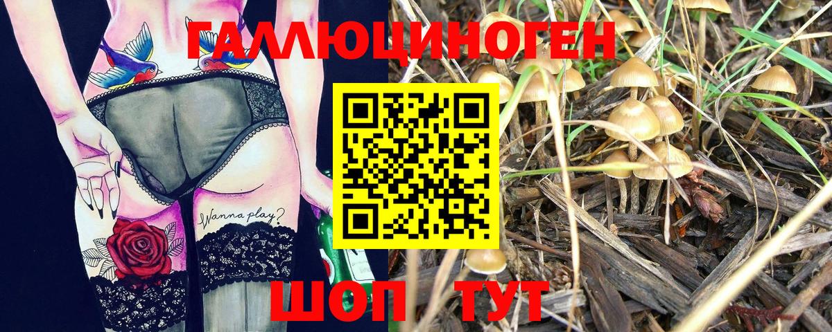 Галлюциногенные грибы MAGIC MUSHROOMS  Вход с VPN  что такое   Орехово-Зуево  Псилоцибиновые грибы MAGIC MUSHROOMS 